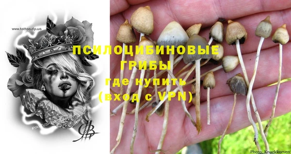 гидра Балахна