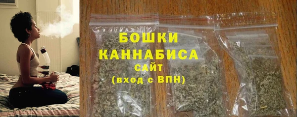 не бодяженный Гусь-Хрустальный