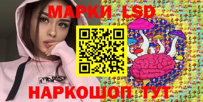 дживик Бийск