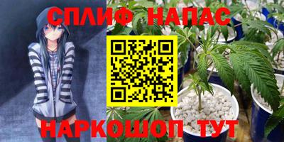 дживик Бийск