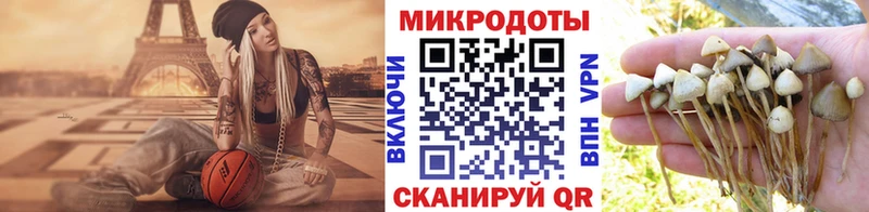 Псилоцибиновые грибы Psilocybine cubensis  Вязники 