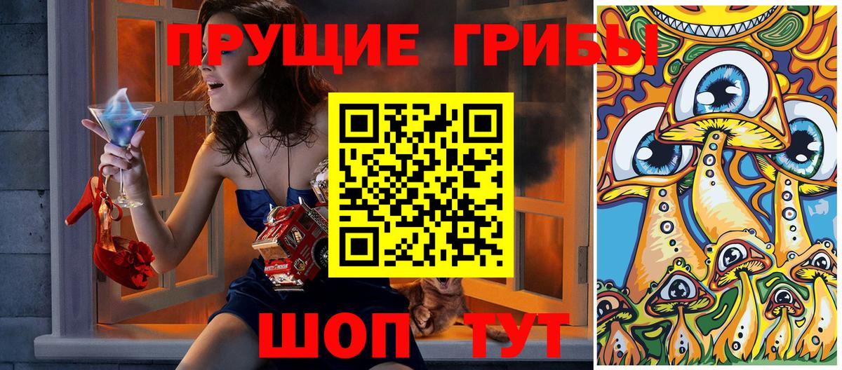 Псилоцибиновые грибы Cubensis  Вход с VPN  Вязники 
