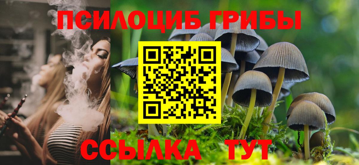 Галлюциногенные грибы GOLDEN TEACHER  Псилоцибиновые грибы GOLDEN TEACHER  продажа наркотиков  Вязники 