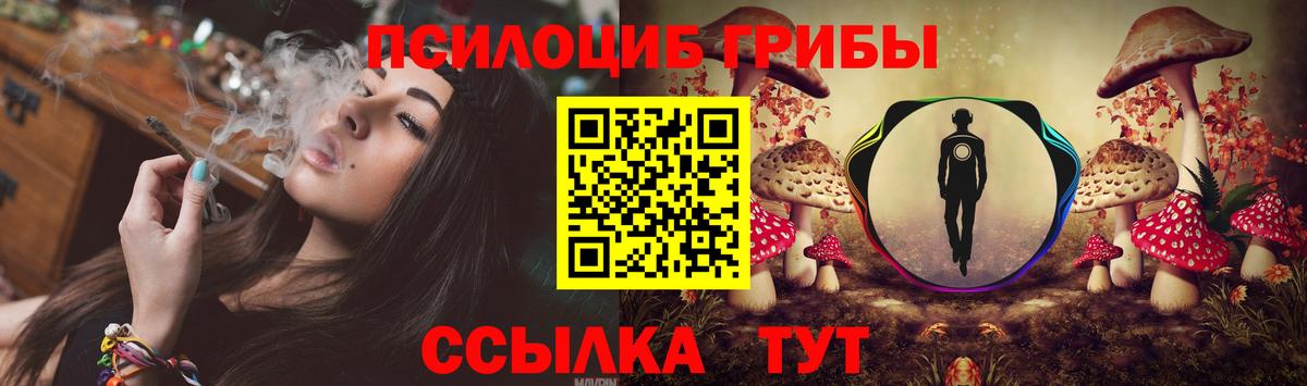 Галлюциногенные грибы Psilocybine cubensis Вязники